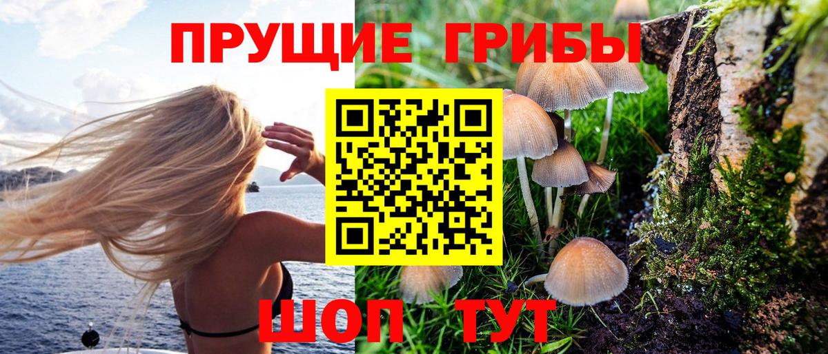 Галлюциногенные грибы Cubensis  Псилоцибиновые грибы GOLDEN TEACHER  что такое   Вход с VPN  Карачаевск 
