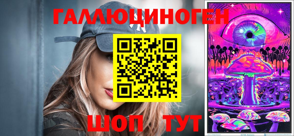 Псилоцибиновые грибы Psilocybe Карачаевск